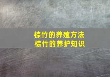 棕竹的养殖方法 棕竹的养护知识